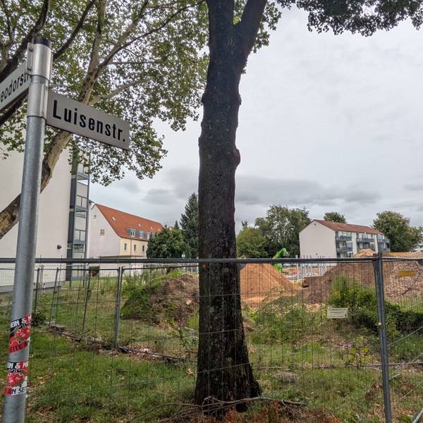 An der Ecke Luisen- und Theodorstraße in Manfort entstehen 56 Wohnungen der WGL.