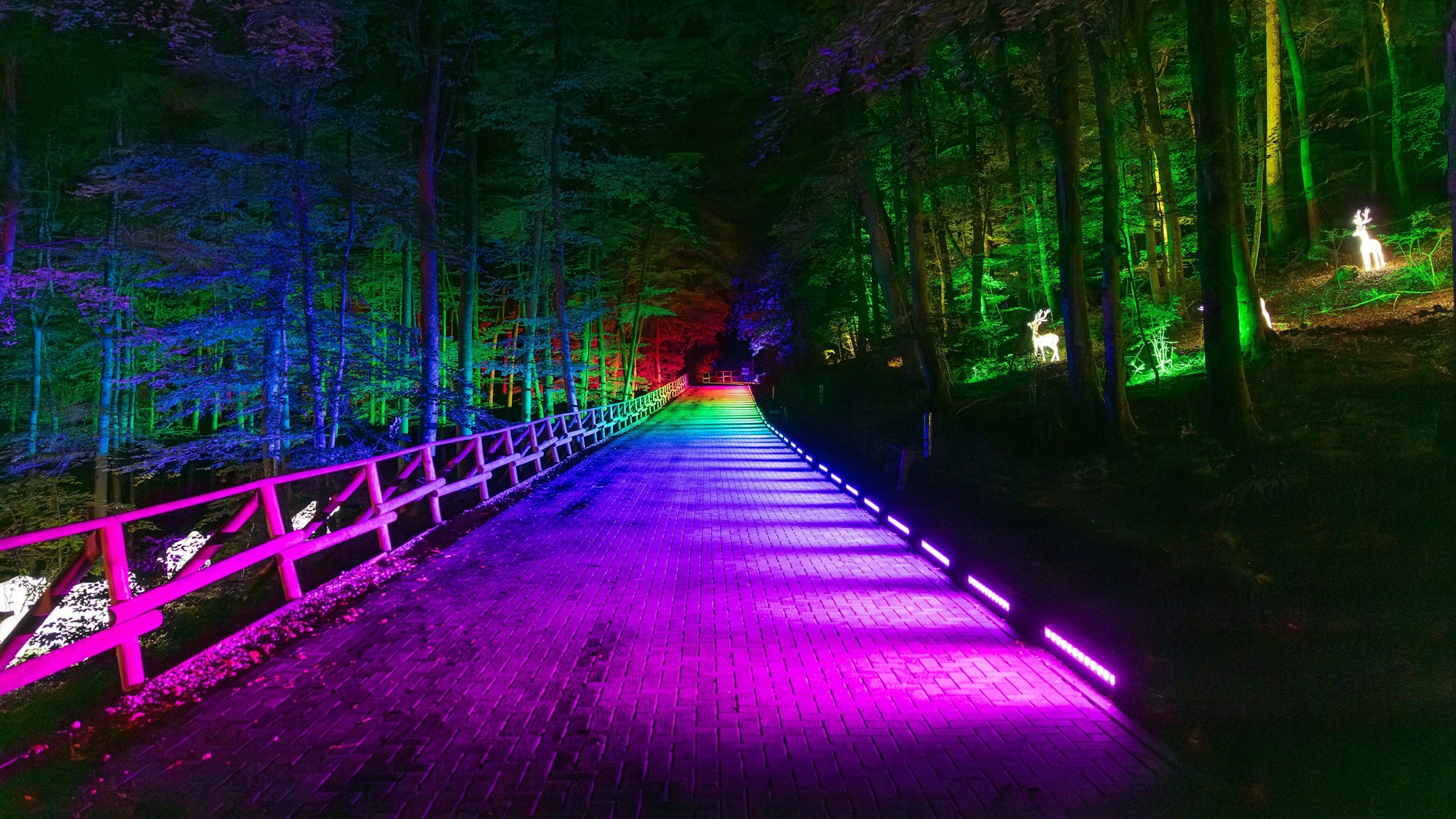 Illuminierte Wege im Eifelpark Gondorf. (Symbolbild)