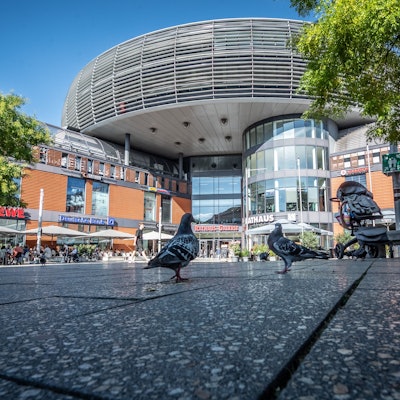 Die Stadt Leverkusen, hier das Rathaus in Wiesdorf, sperrt Flure im OGS-Teil der Astrid-Lindgren-Schule.