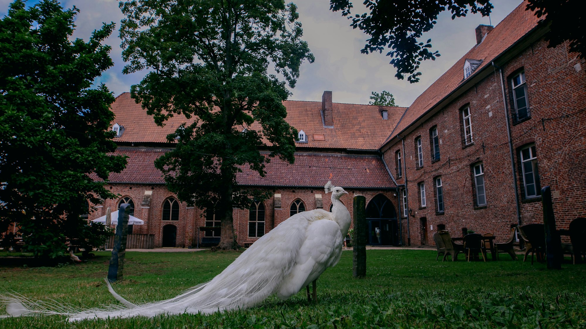 Pfauen und Hühner laufen auf dem Klostergelände frei herum.