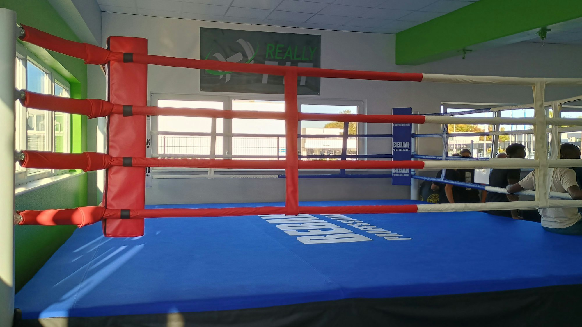 Auf dem Bild zu sehen ist der Ring: Der Boden ist blau, die Begrenzung rot-weiß.