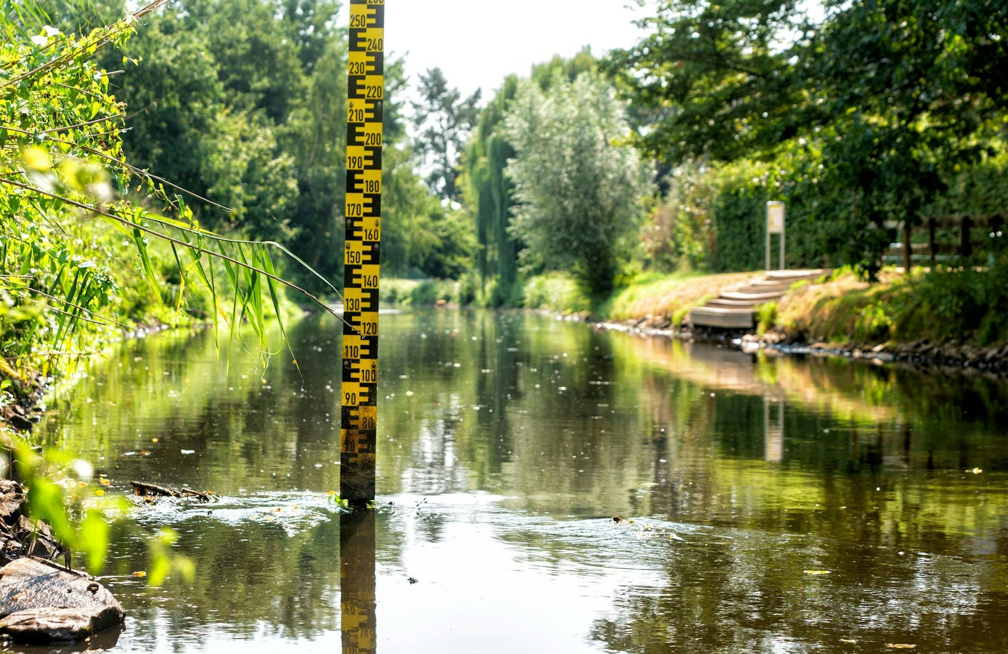 Kajakfahrer entdecken in Kevelaer eine Leiche in einem Seitenarm der Niers. (Archivbild)