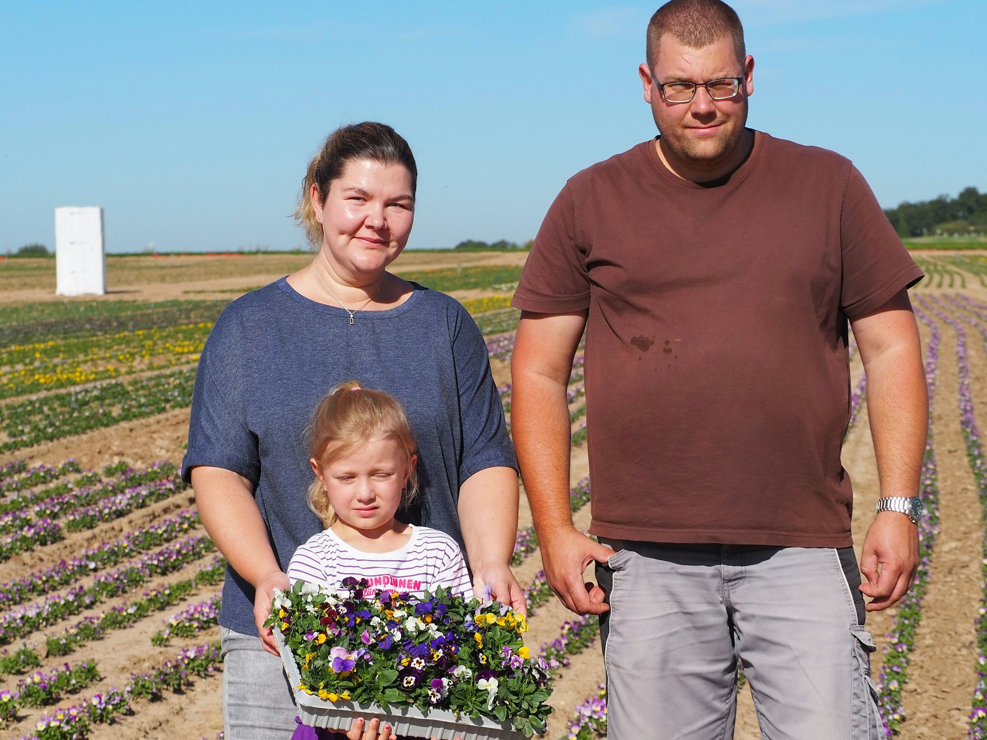 Marie Weiler und Markus Kurth stehen auf einem Stiefmütterchenfeld, ihre Tochter Romy hält eine Kiste mit Blumen.