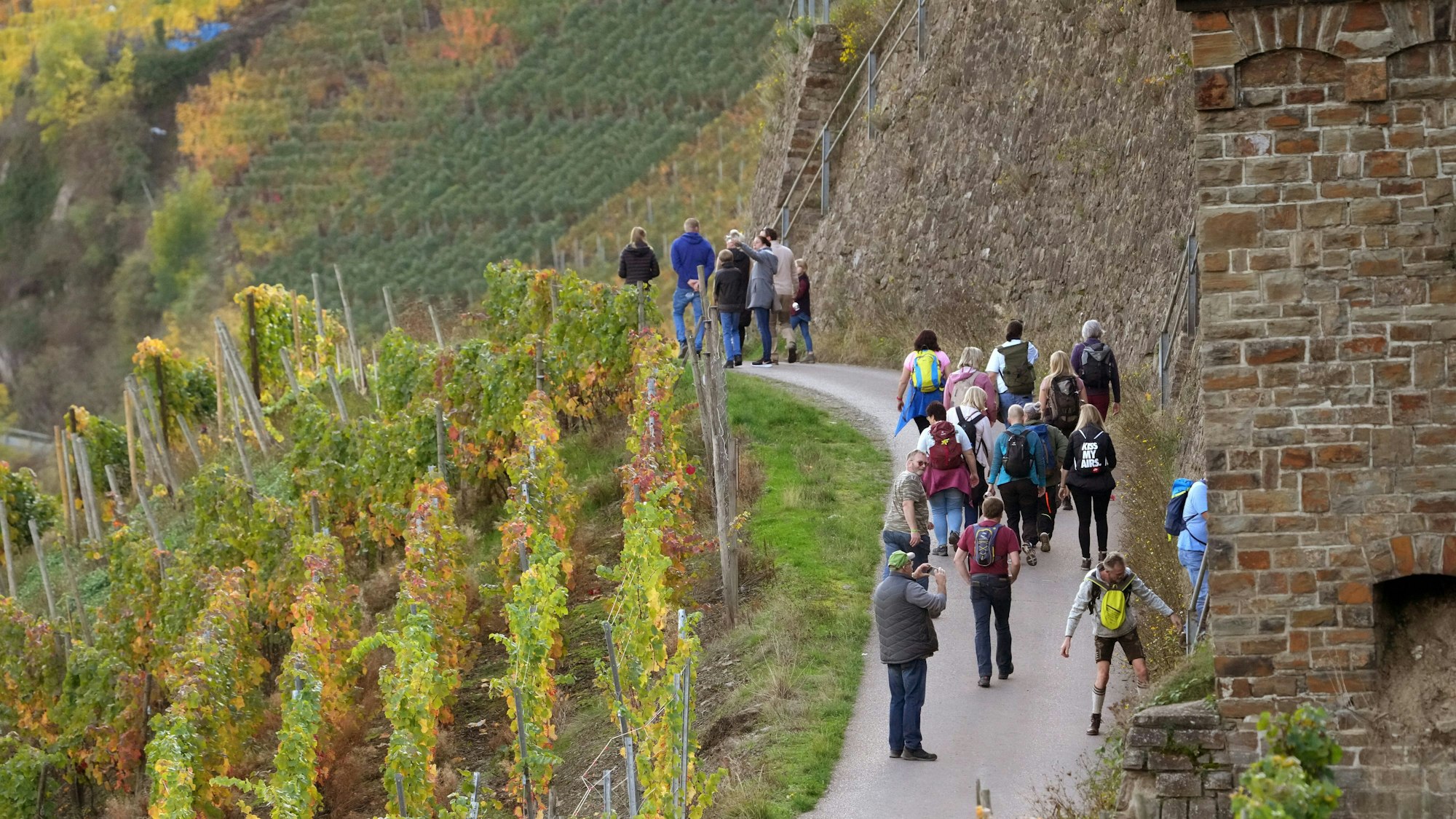 Wanderer laufen durch die Weinberge oberhalb des Ortes.