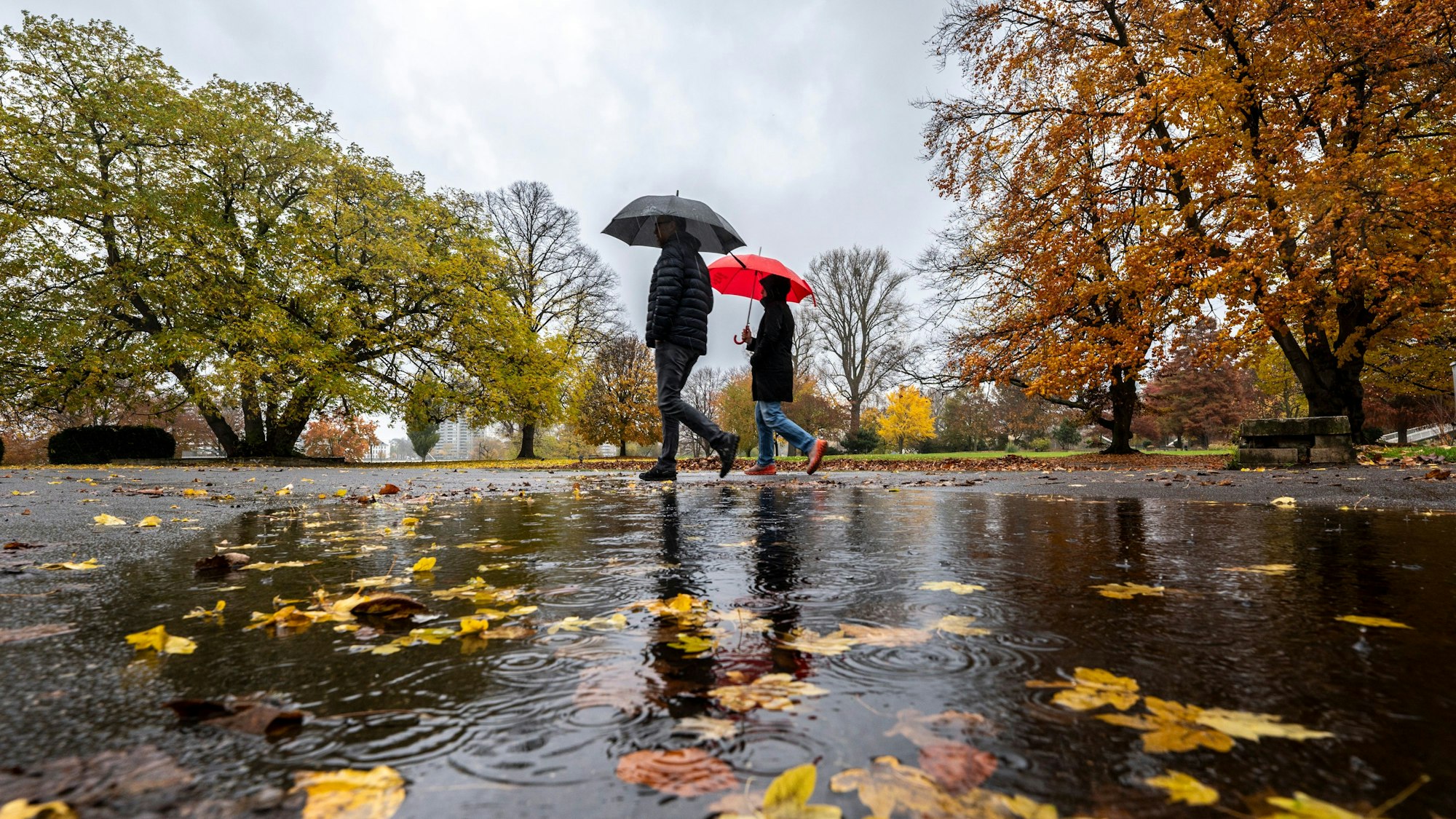 Im Rheinpark sind Spaziergänger mit Regenschirm unterwegs. Das Wetter ist im Herbst oft regnerisch.