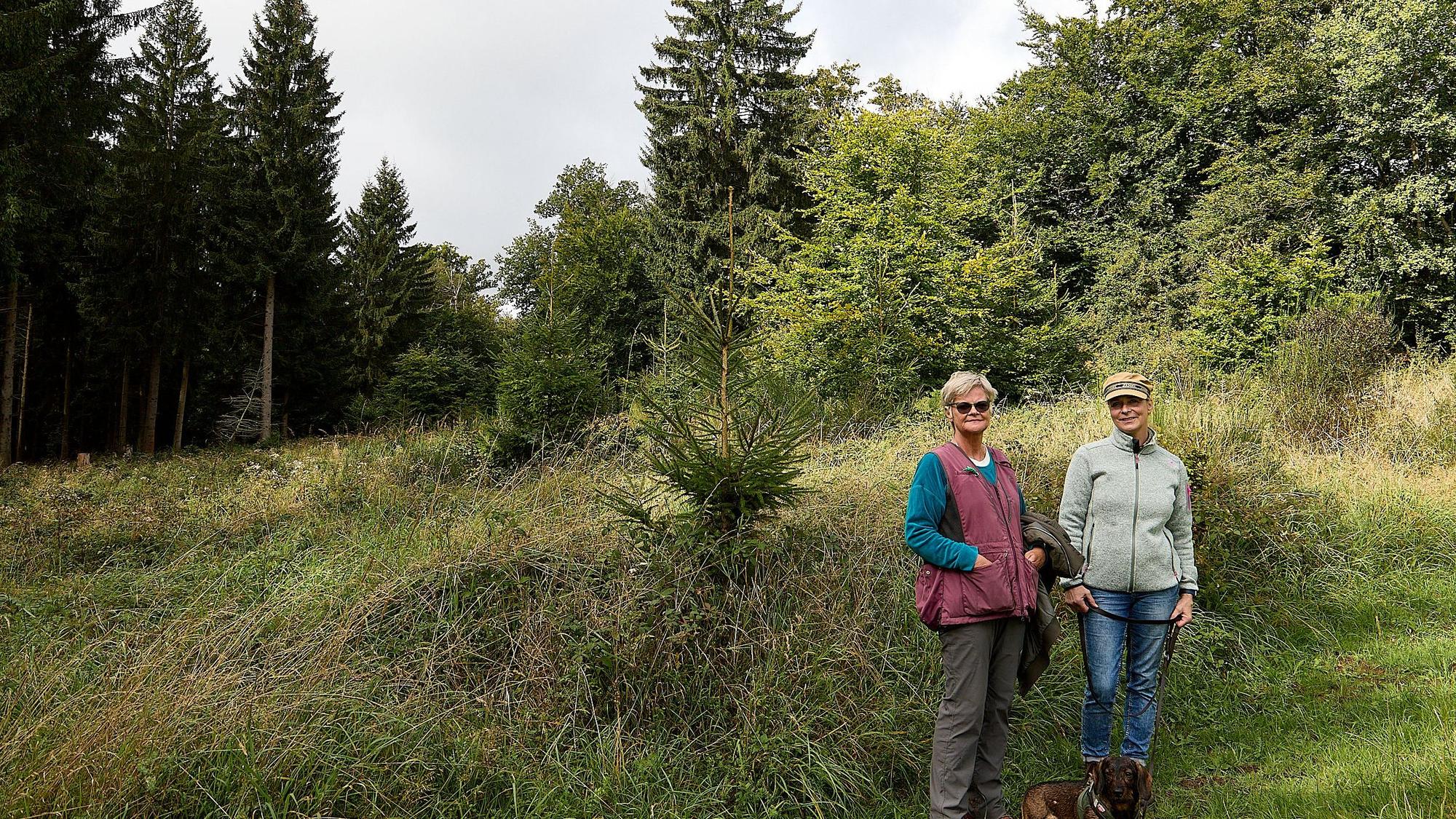 Die beiden Frauen auf der Fläche im Wald, die für ein Windrad vorgesehen ist.