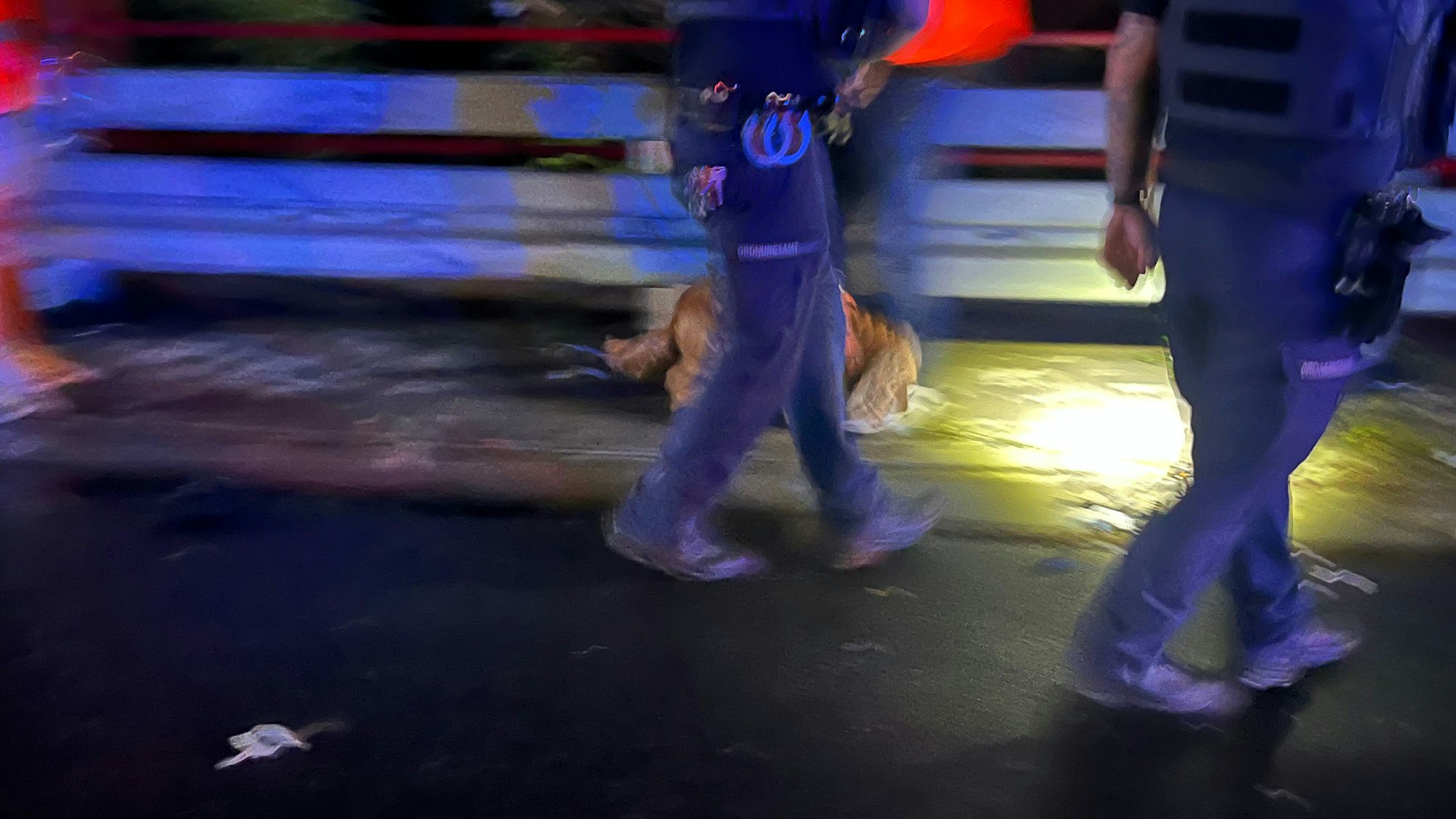 Mitarbeiter des Ordnungsamtes holten den Hund des Esseners ab und brachten ihn ins Tierheim.