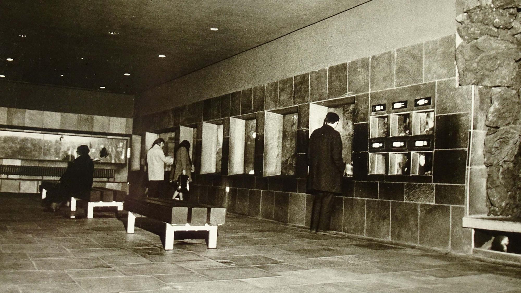 Blick in das 1971 eröffnete Aquarium.