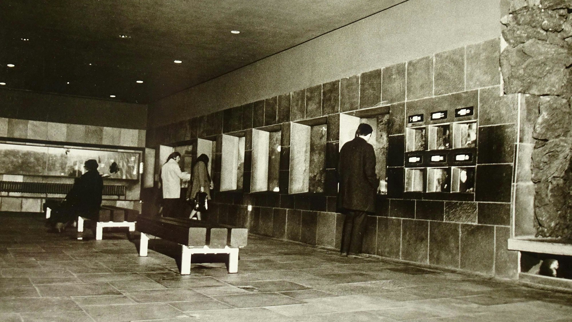 Blick in das 1971 eröffnete Aquarium.