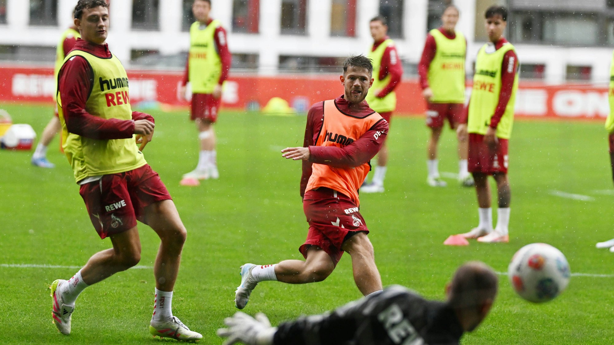 Die Profis des 1. FC Köln bereiten sich diese Woche auf das Heimspiel am Sonntag gegen den VfB Stuttgart vor. (Archivbild)