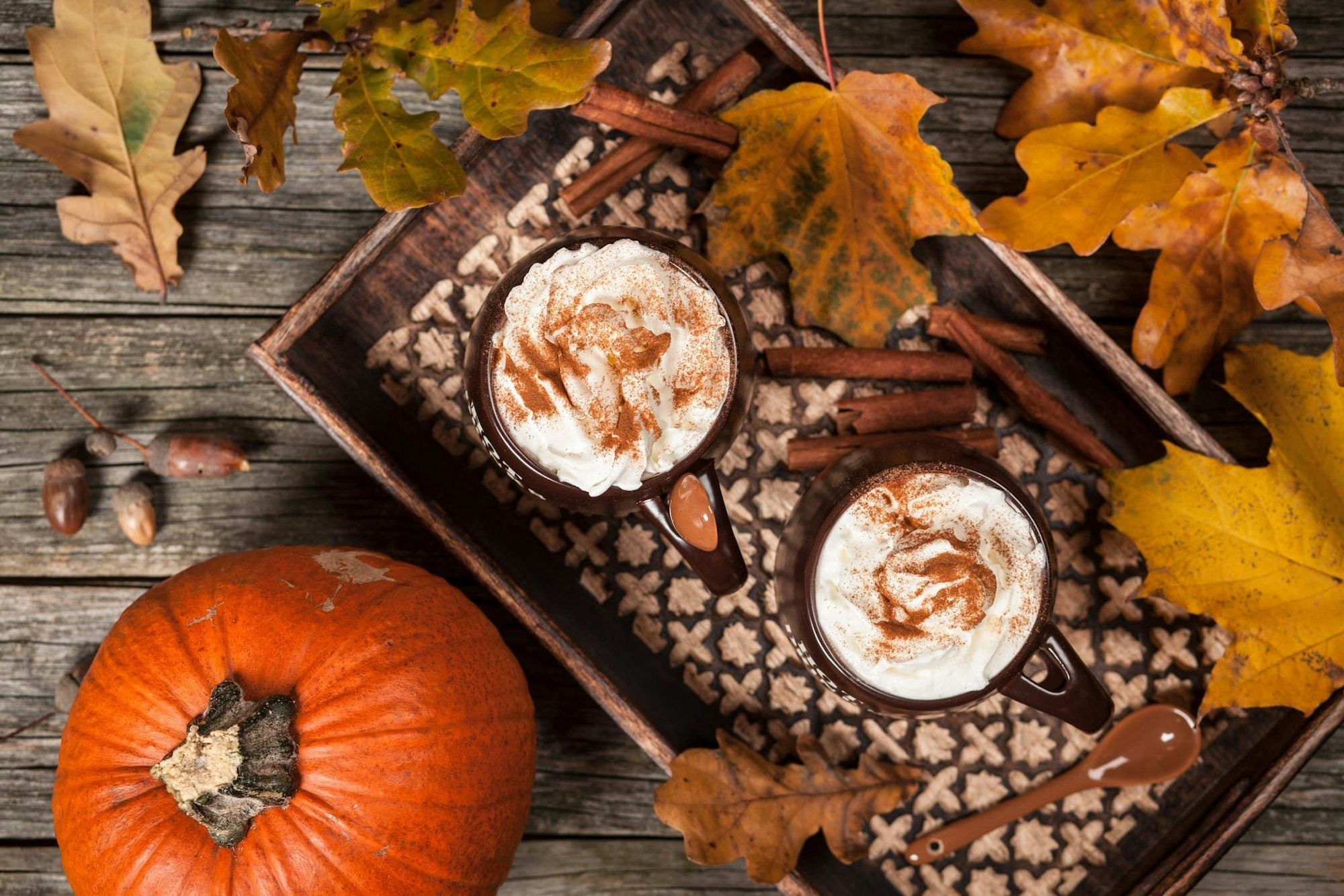Besonders beliebt ist der Pumpkin Spice Latte im Herbst. via www.-imag