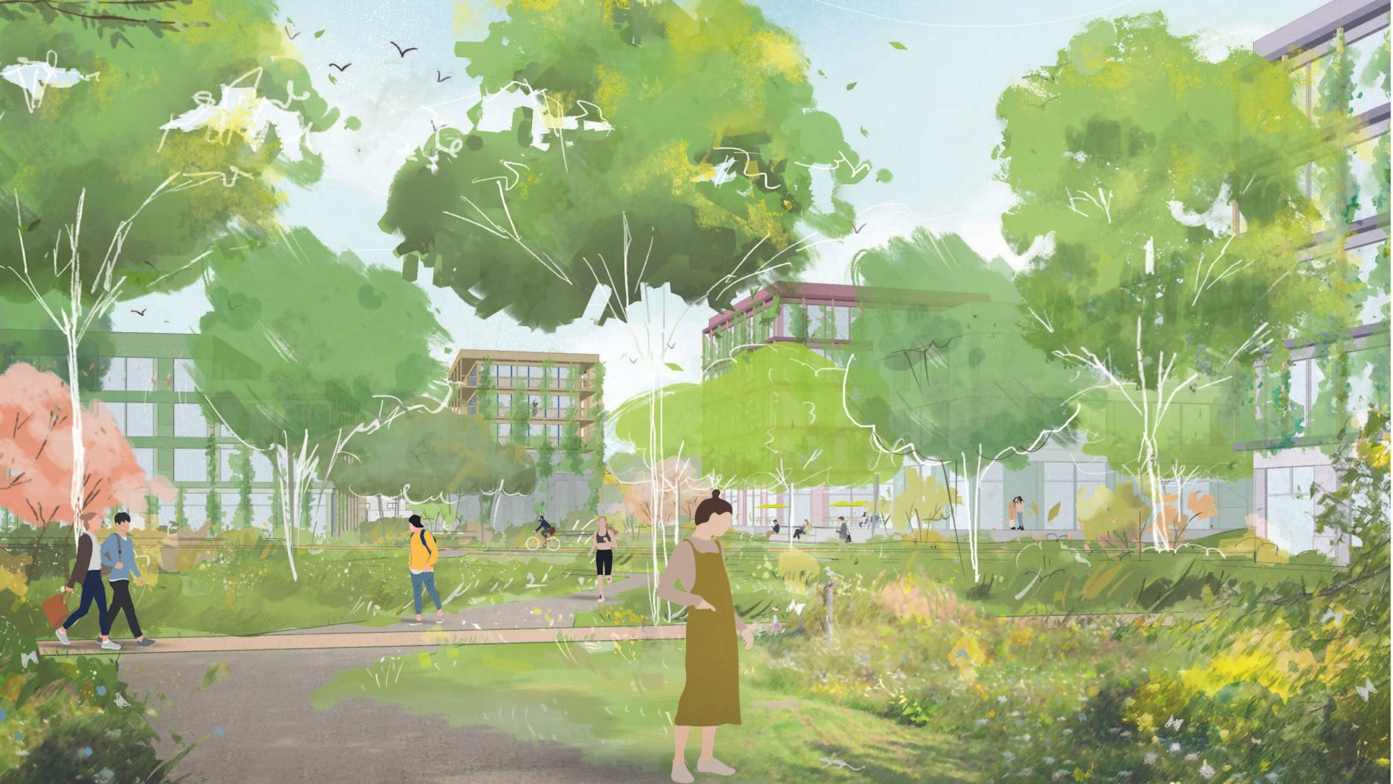 Skizze des geplanten grünen Büroquartiers