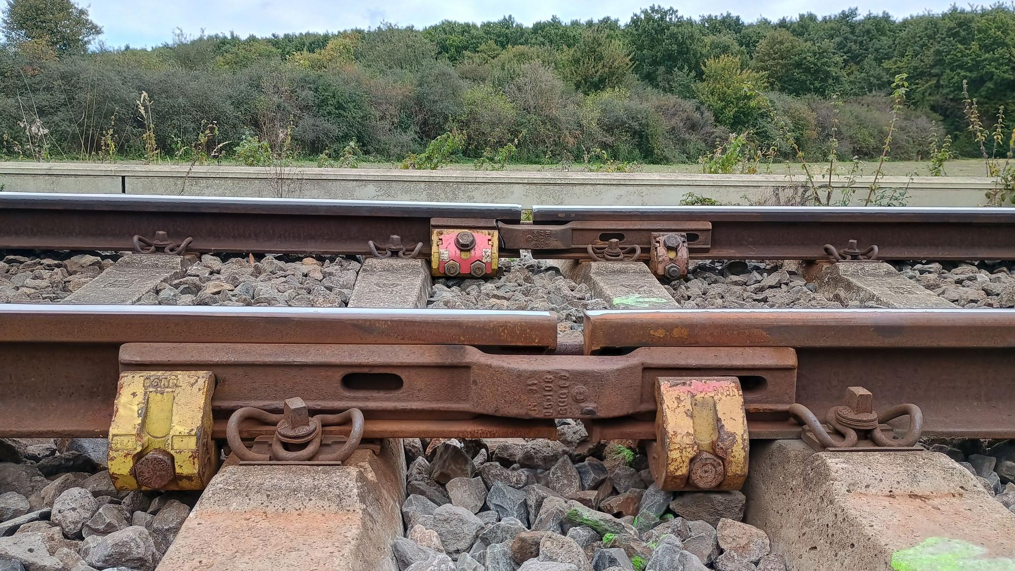 Das Bild zeigt Schienen einer Bahn, im Hintergrund sind Büsche und Bäume zu sehen