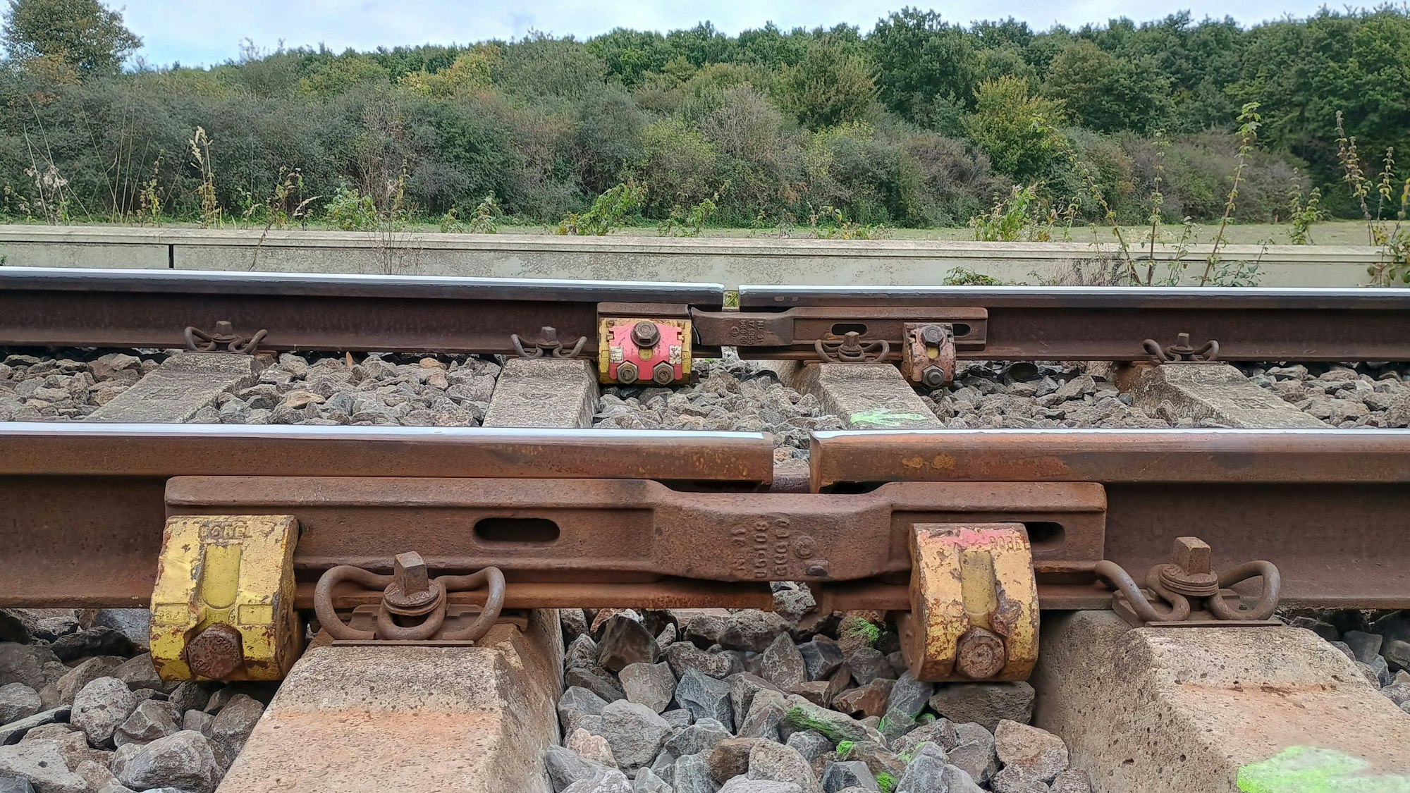 Das Bild zeigt Schienen einer Bahn, im Hintergrund sind Büsche und Bäume zu sehen