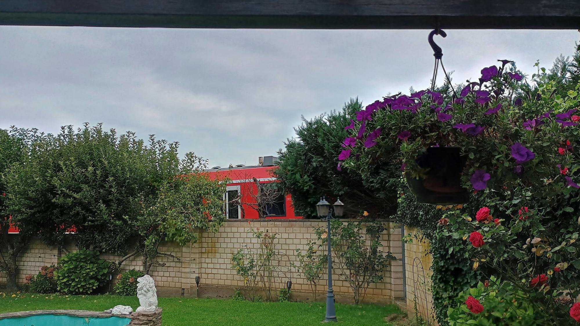 Das Bild zeigt den Garten, hinter der Mauer sieht man den roten Zug zwischen Büschen entlangfahren.