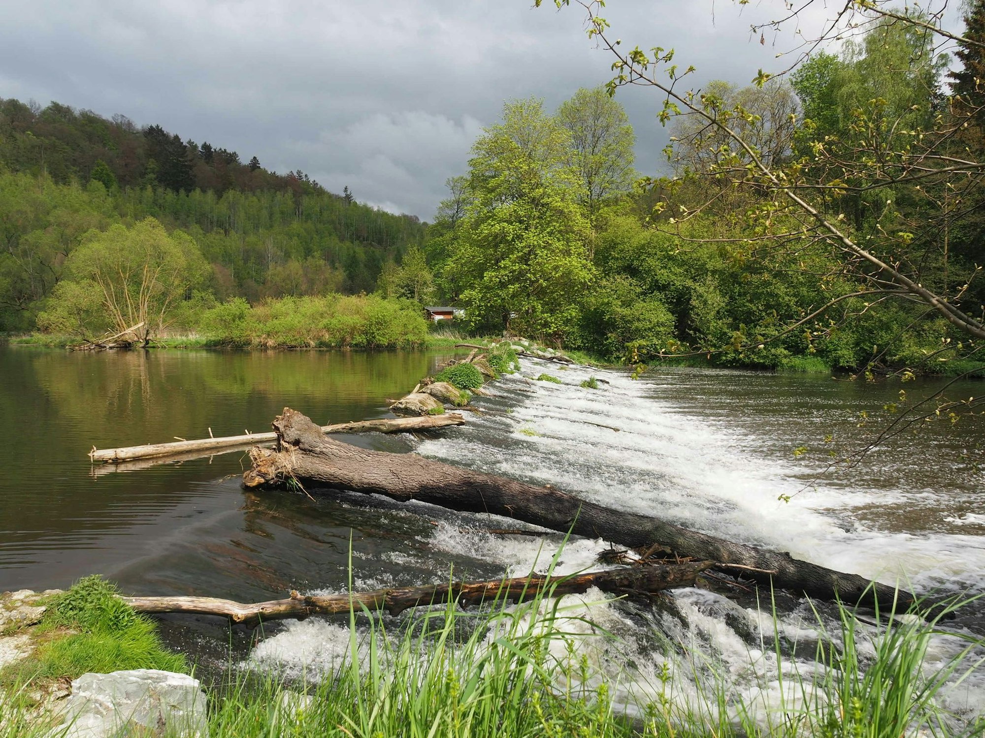 Vielerorts ist die ehemalige Grenzregion zum Naturidyll geworden. (Archivbild)