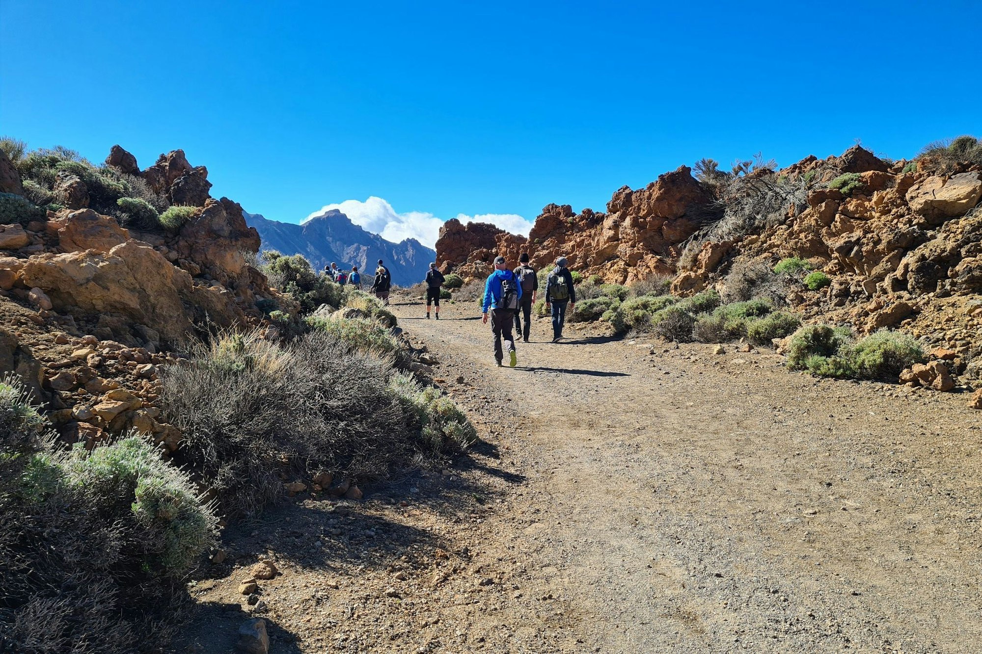 Teneriffa: Wanderfreunde kommen rund um den Berg Teide auf ihre Kosten.