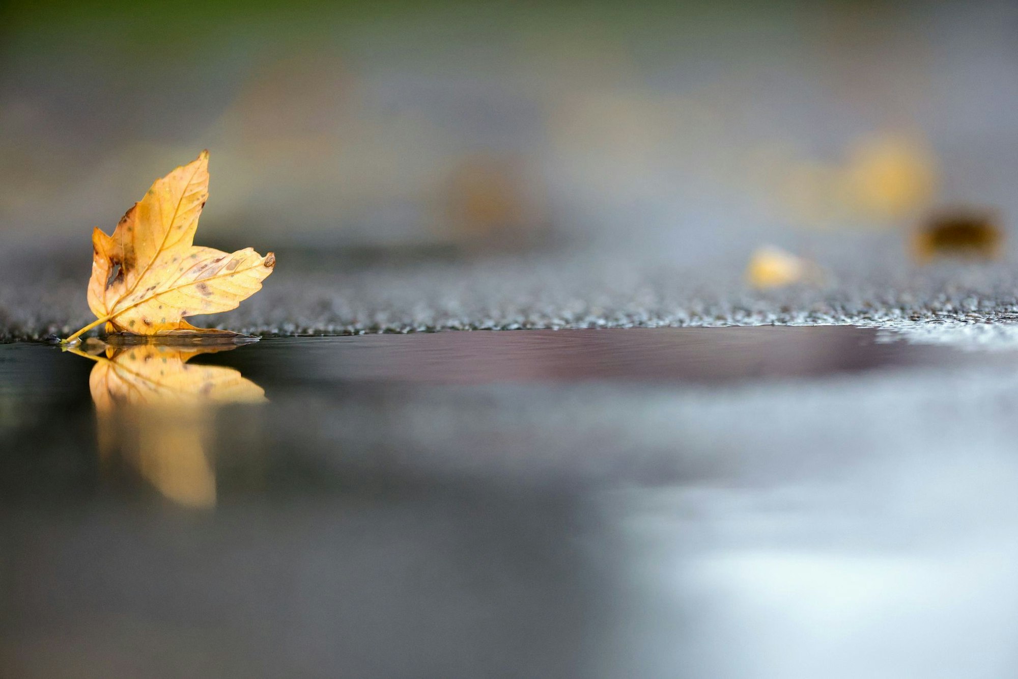 Noch hält sich die herbstliche Zweiteilung beim Wetter in Deutschland. (Archivbild)