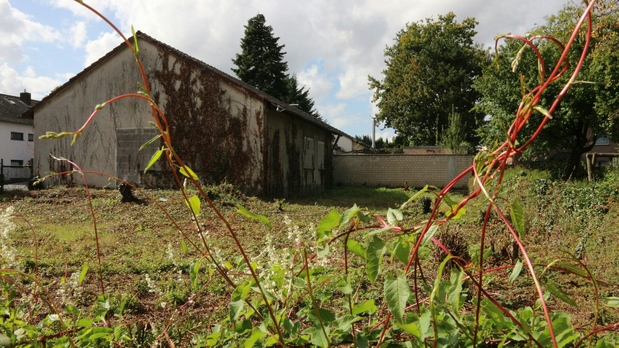 Zu sehen sind ein Gartengrundstück und im Hintergrund ein Haus.