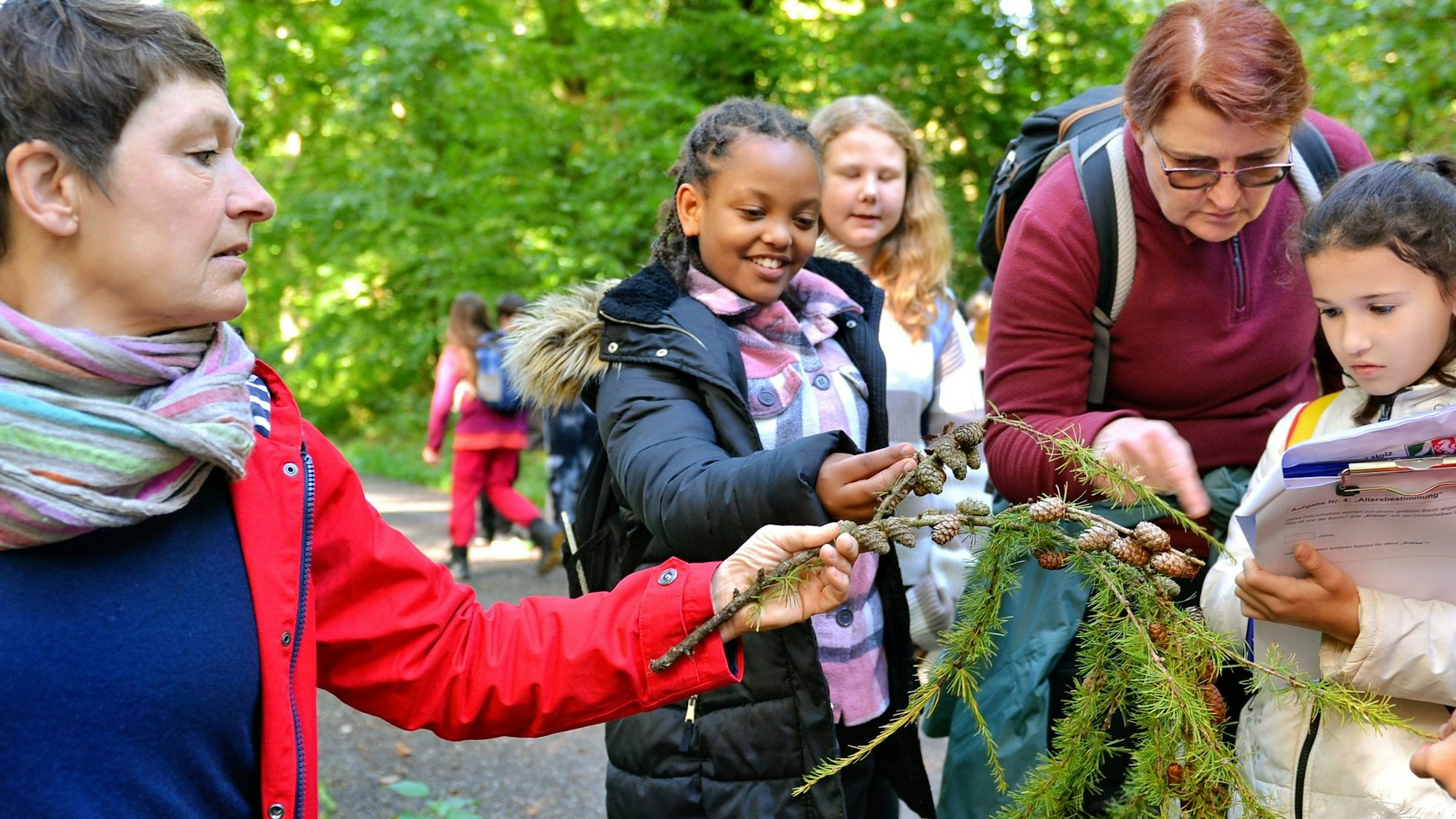 Eine Lehrerin zeigt zwei Schülerinnen und einer Frau mehrere Zweige mit Zapfen.