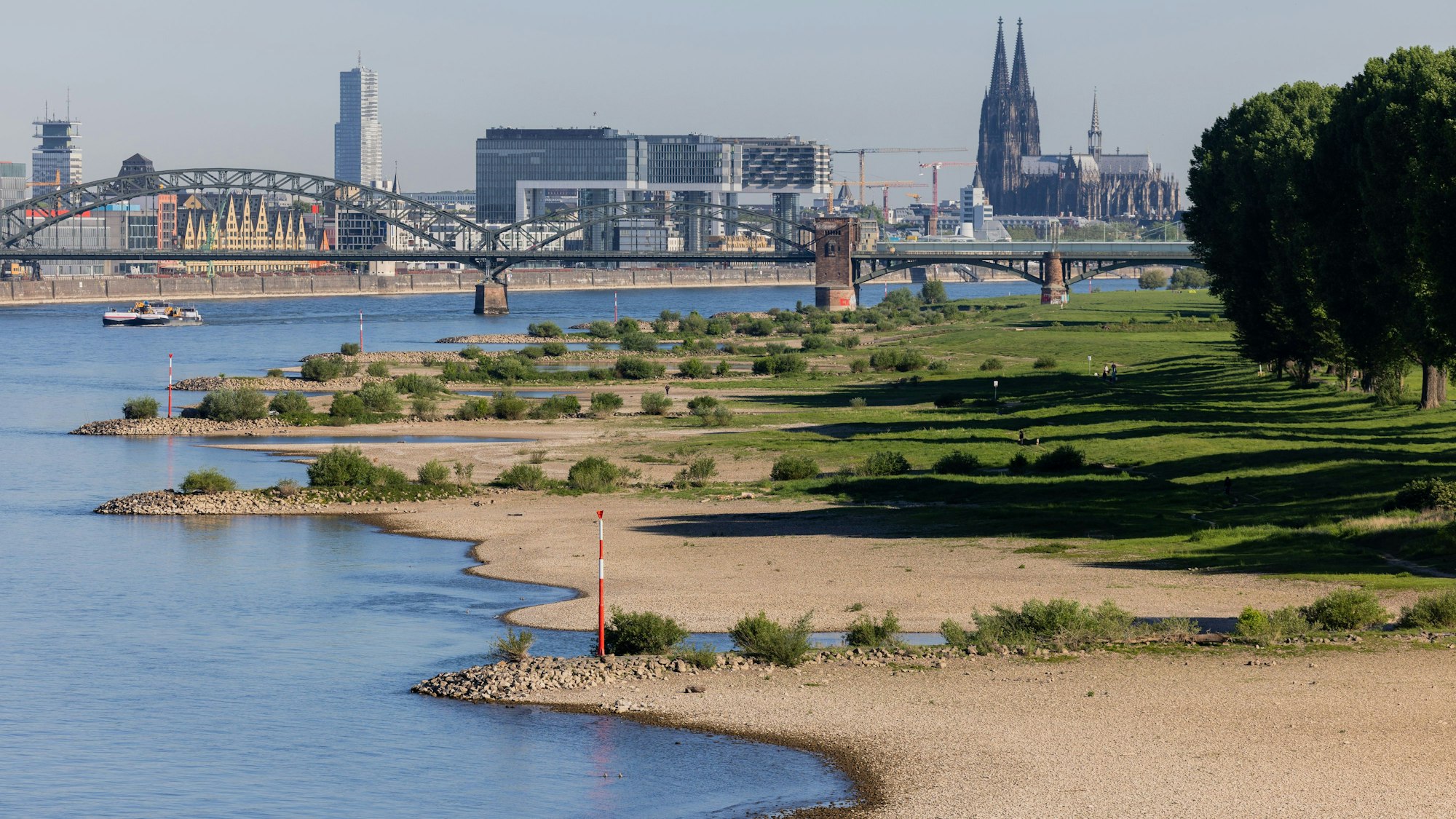 Blick auf den Rhein in Köln. An 80 bis 90 Prozent aller Flusspegel in Deutschland herrschte im April dieses Jahres Niedrigwasser, auch schon im Frühjahr gab es ausgeprägte Trockenheitsperioden.