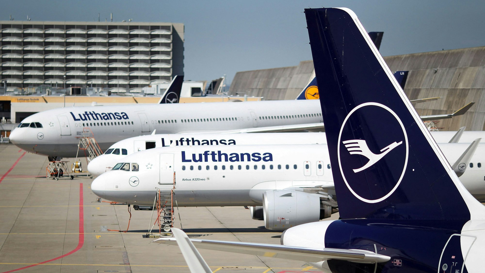 Das Bild zeigt Lufthansa-Maschinen auf dem Vorfeld des Flughafens Rhein-Main. Foto: Andreas Arnold/dpa