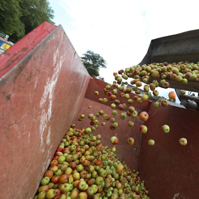 Äpfelabgabe beim Baumarkt Klein in Königswinter-Oberpleis für die Biologische Station des Rhein-sieg-Kreises
drei Container haben dieses Jahr nicht gereicht