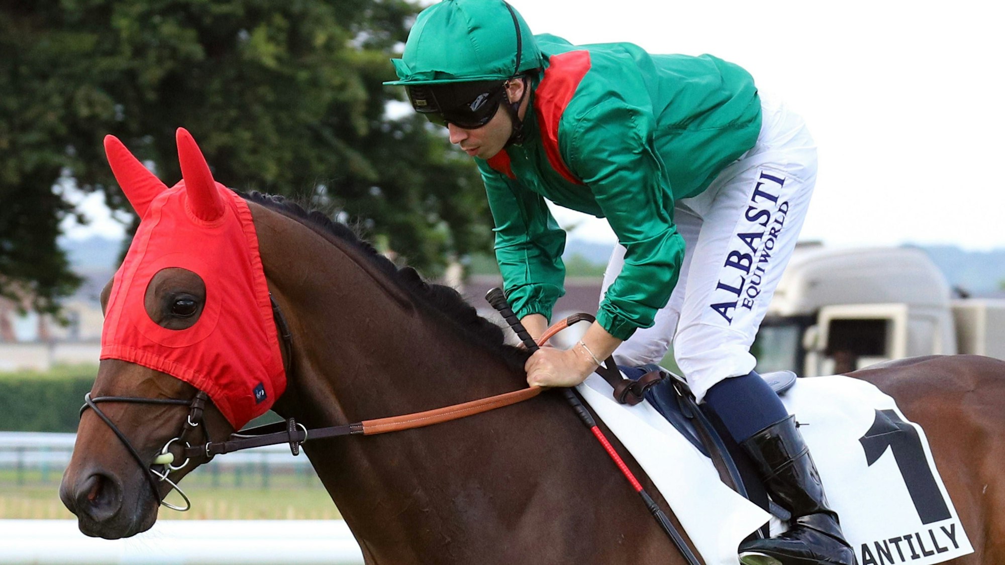 01.06.2025, Chantilly, Paris, FRA - Sibayan with Mickael Barzalona. Chantilly racecourse. Pferd, Jockey, Sibayan, Barzalona, Aufgalopp 250601S683CHANTILLY.JPG *** 01 06 2025, Chantilly, Paris, FRA Sibayan with Mickael Barzalona Chantilly racecourse horse, jockey, Sibayan, Barzalona, gallop 250601S683CHANTILLY JPG