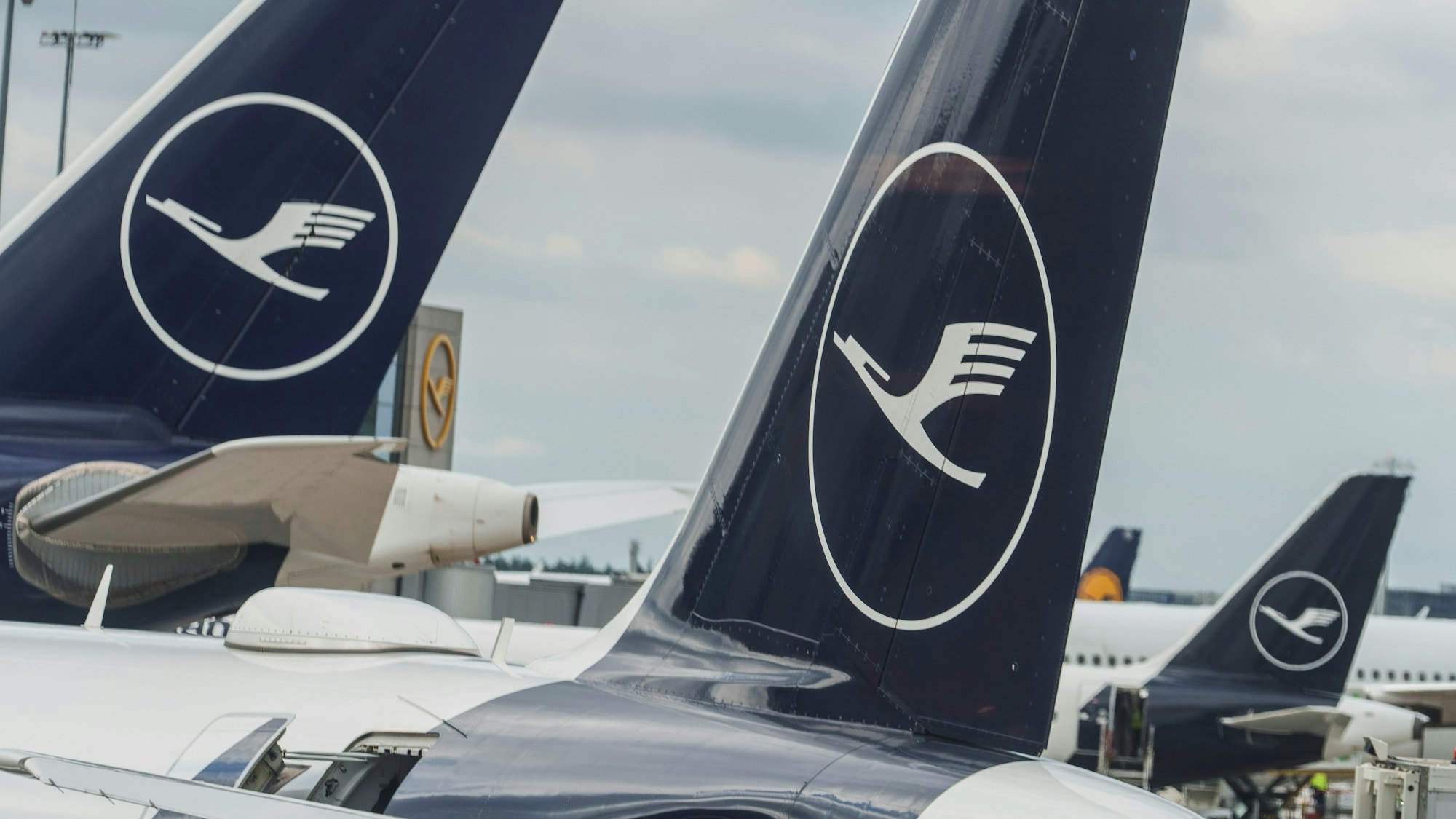 Lufthansa-Maschinen stehen auf dem Vorfeld des Flughafens Rhein-Main. Der Konzern will sparen und Stellen abbauen.