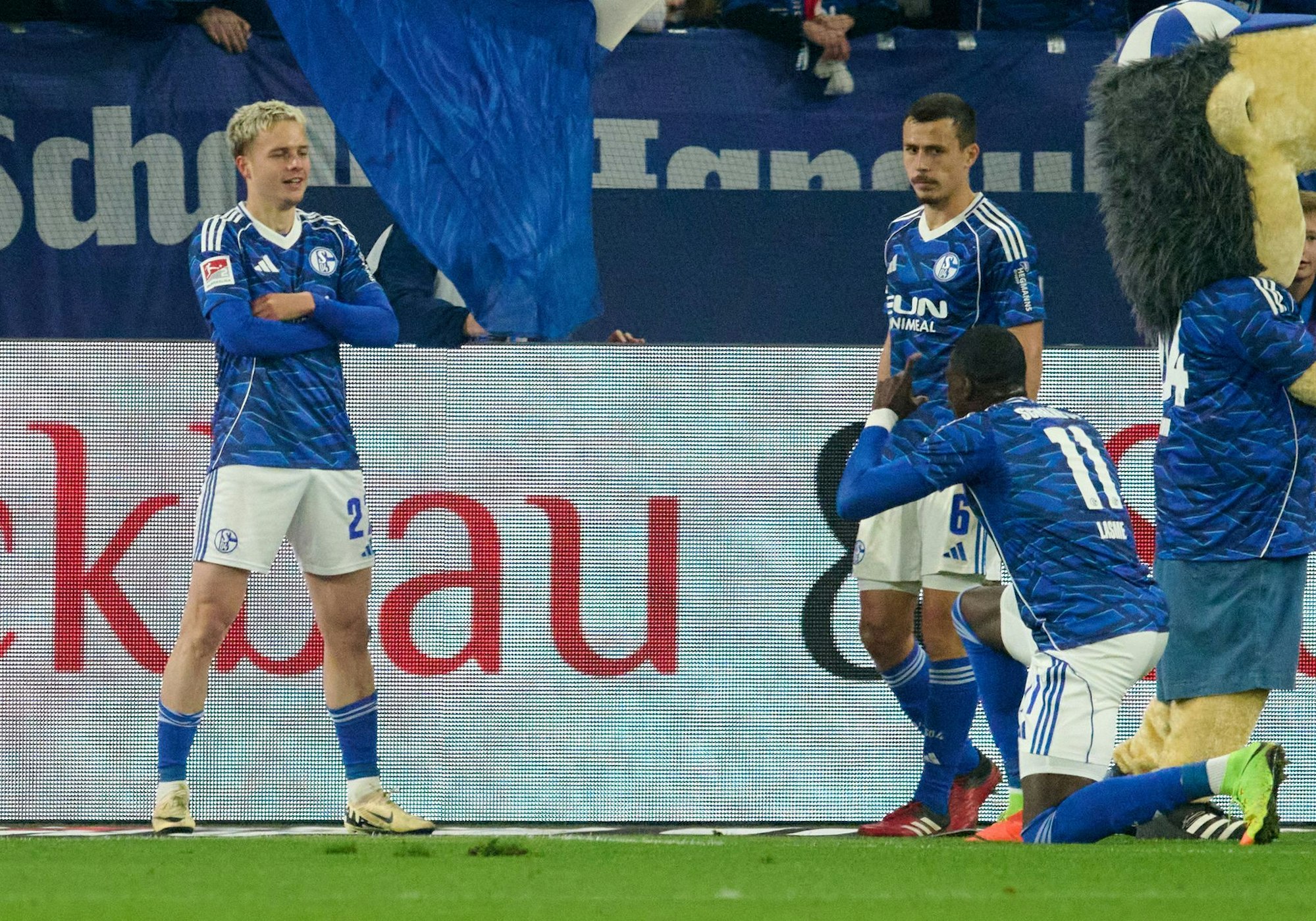 Finn Porath (l.) jubelt über sein Tor für Schalke. (Archivbild)