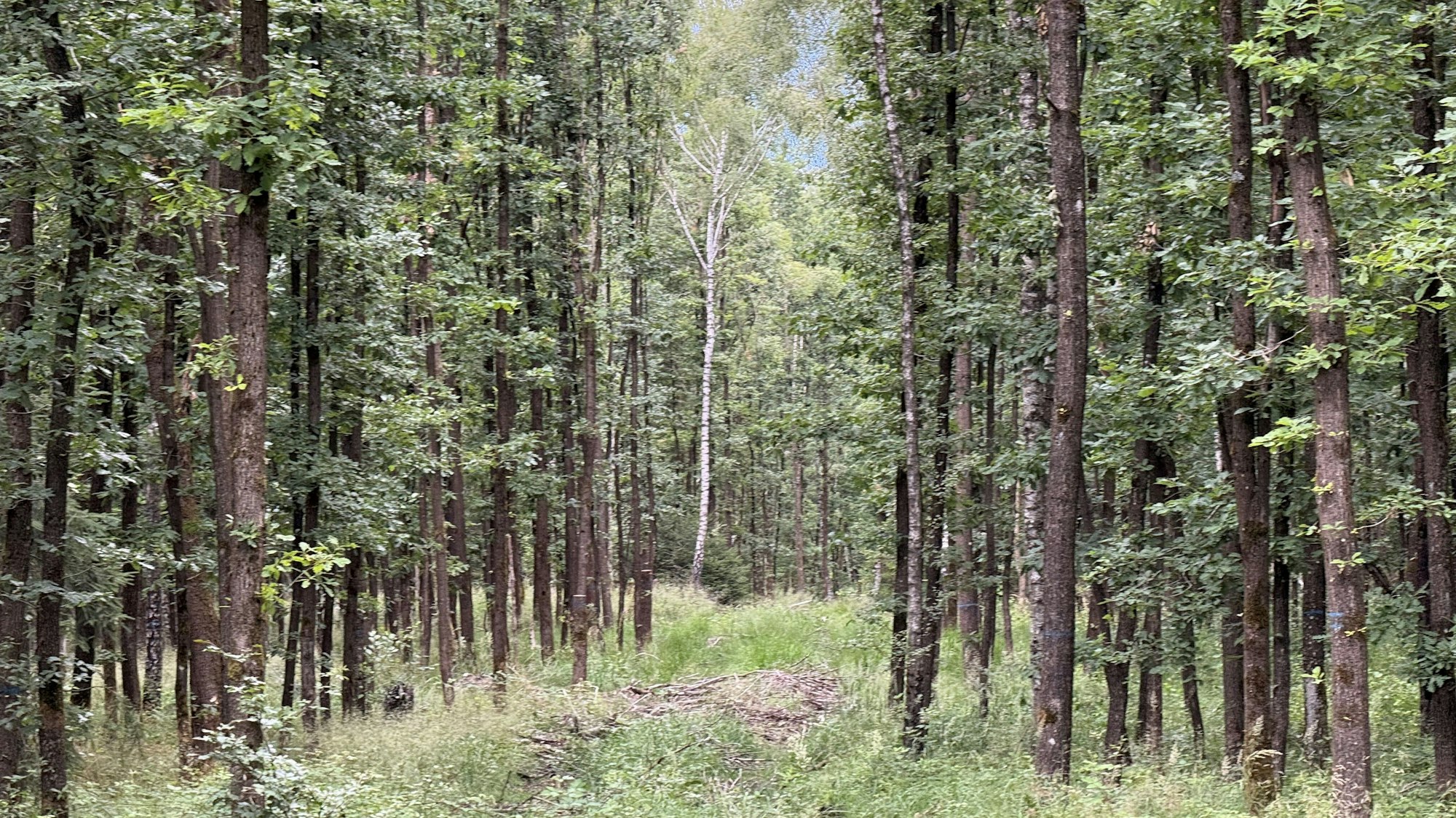Eine Naturaufnahme sind beliebte Szenen für den Fotowettbewerb.
