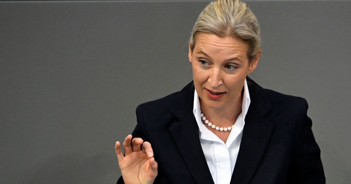 AfD und Alice Weidel auch bei Migranten-Gruppen im Aufwind