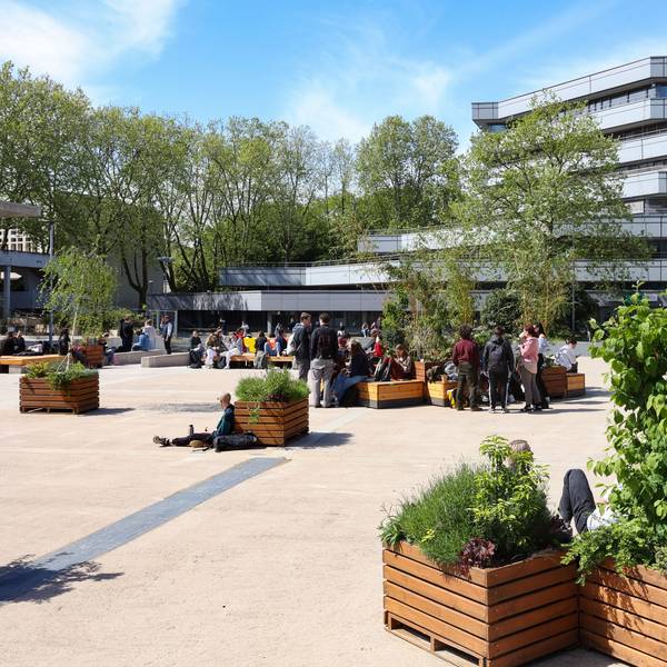 Studierende genießen die Sonne auf dem Albertus-Magnus Platz vor dem Phil-Cafe der Universität Köln, wo Pflanzkübel- und Kästen den Platz begrünen.