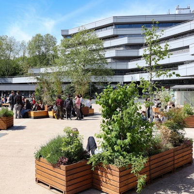 Studierende genießen die Sonne auf dem Albertus-Magnus Platz vor dem Phil-Cafe der Universität Köln, wo Pflanzkübel- und Kästen den Platz begrünen.