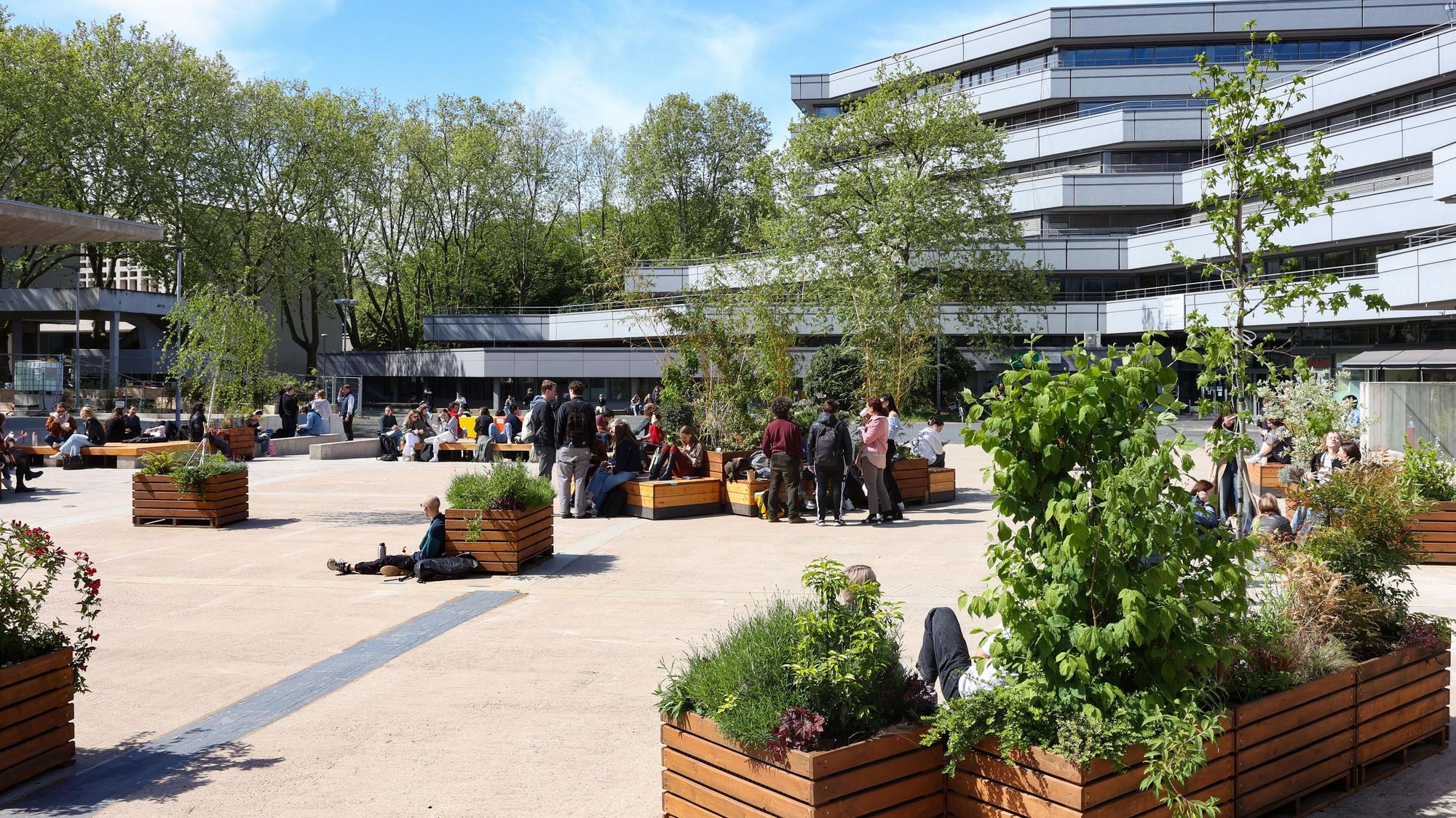 Studierende genießen die Sonne auf dem Albertus-Magnus Platz vor dem Phil-Cafe der Universität Köln, wo Pflanzkübel- und Kästen den Platz begrünen.