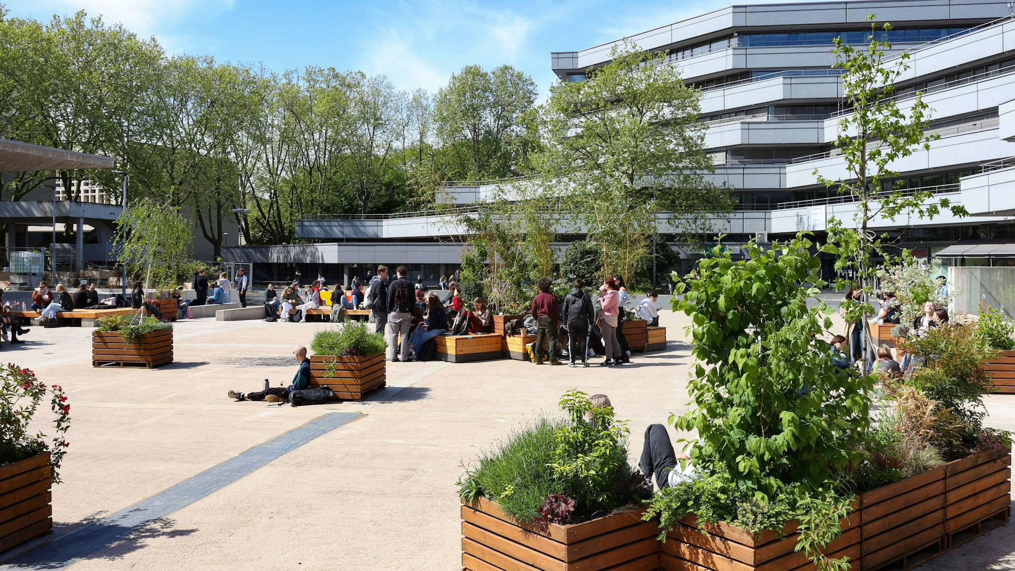 Studierende genießen die Sonne auf dem Albertus-Magnus Platz vor dem Phil-Cafe der Universität Köln, wo Pflanzkübel- und Kästen den Platz begrünen.
