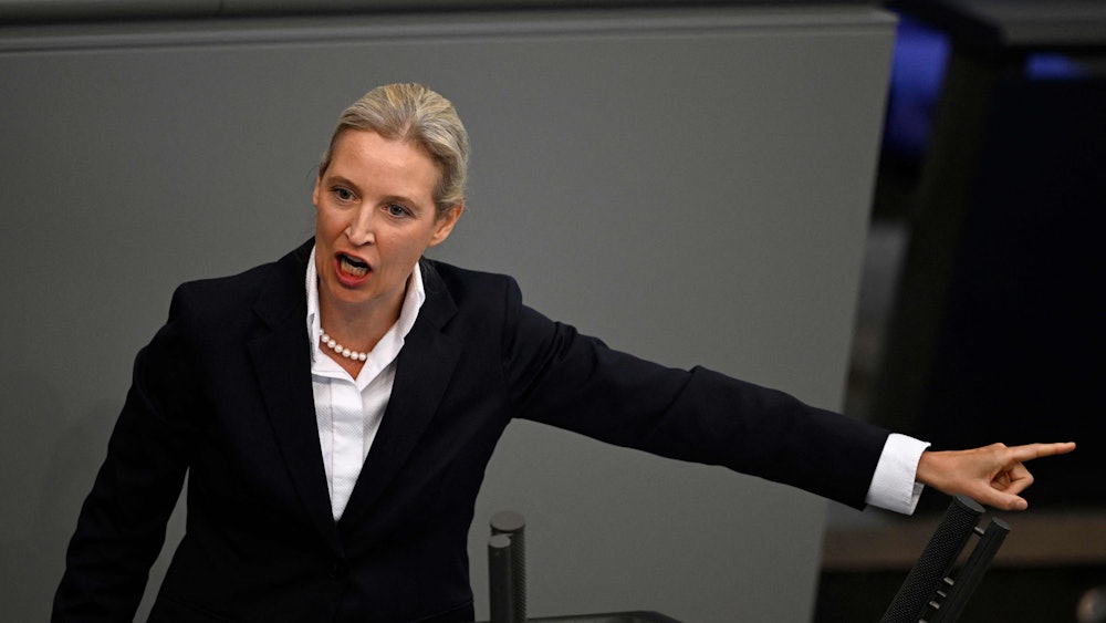 AfD-Parteichefin Alice Weidel
