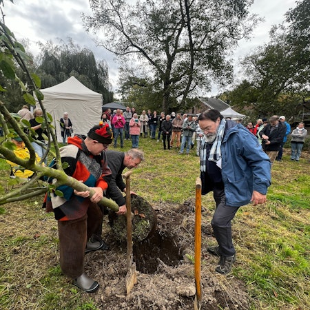 Zum Tag der Deutschen Einheit spendeten Gisela und Petra Fiorentino einen Apfelbaum von der Sorte Kaiser Wilhelm.