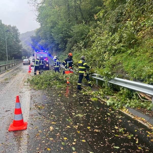 In Hennef-Dondorf war ein Baum auf die Straße gestürzt, die Feuerwehr beseitigte ihn.