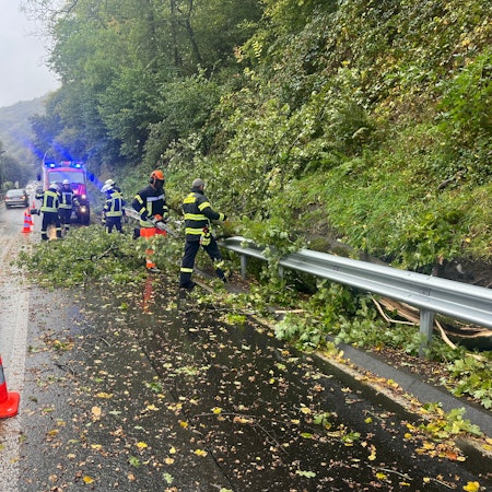 In Hennef-Dondorf war ein Baum auf die Straße gestürzt, die Feuerwehr beseitigte ihn.