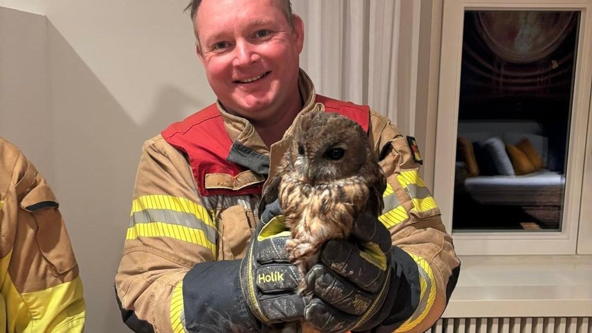 Ein Feuerwehrmann hält einen verrußten Waldkauz in den Händen.