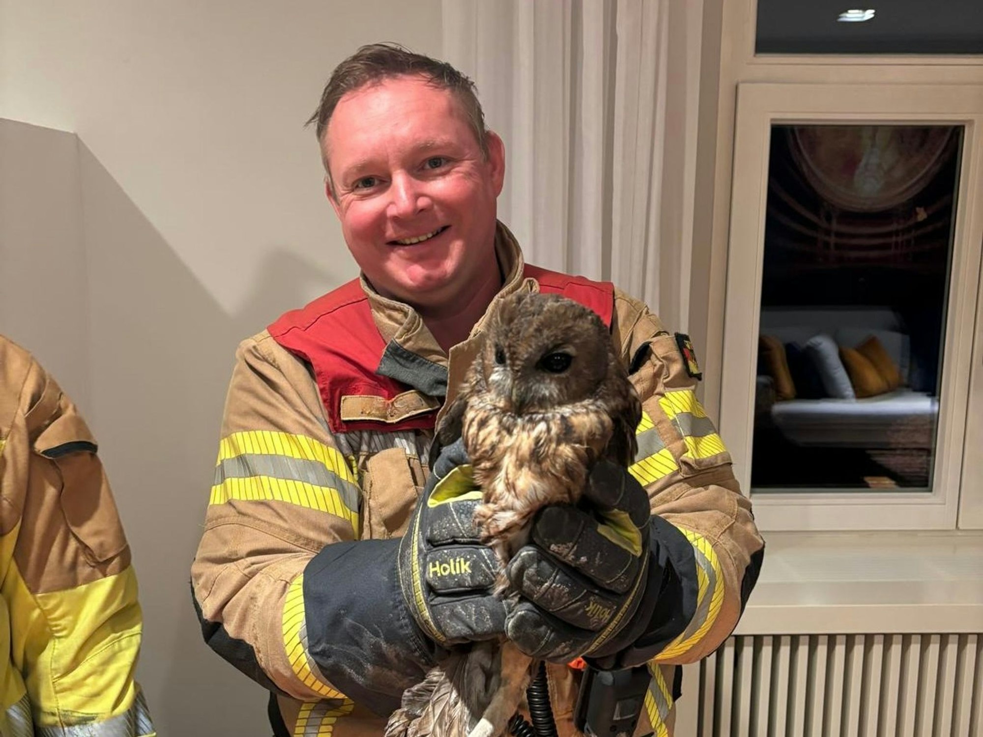 Ein Feuerwehrmann hält eine gerettete Eule in den Händen - der Waldkauz hatte sich in einen Kamin verirrt.