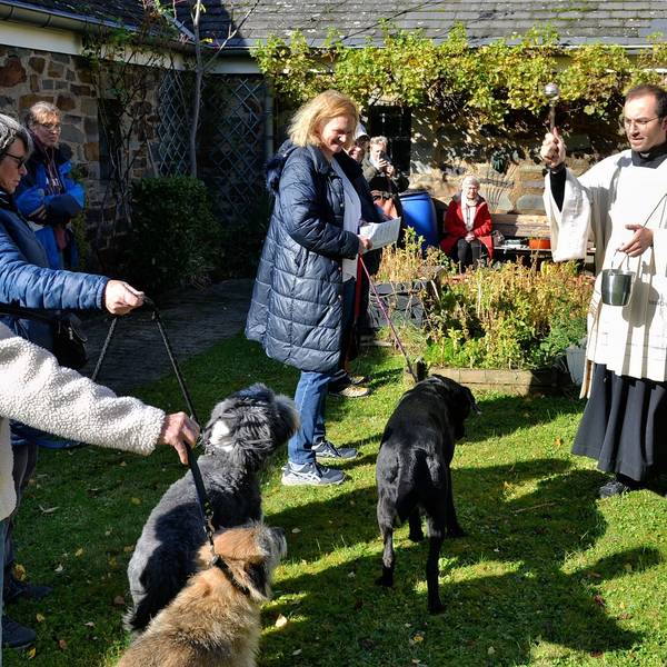 Diakon Francesco Tabacco, der ein liturgisches Gewand trägt, besprengt mehrere Hunde, die von ihren Frauchen an der Leine gehalten werden, mit Weihwasser.