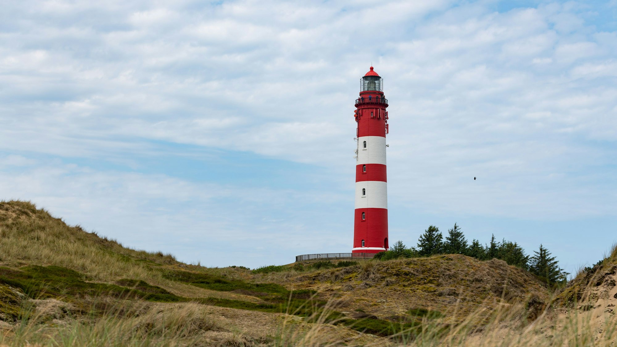 Das Bild zeigt den Leuchtturm von Nebel auf der Nordseeinsel Amrum. Foto: Shutterstock / Benjamin B.