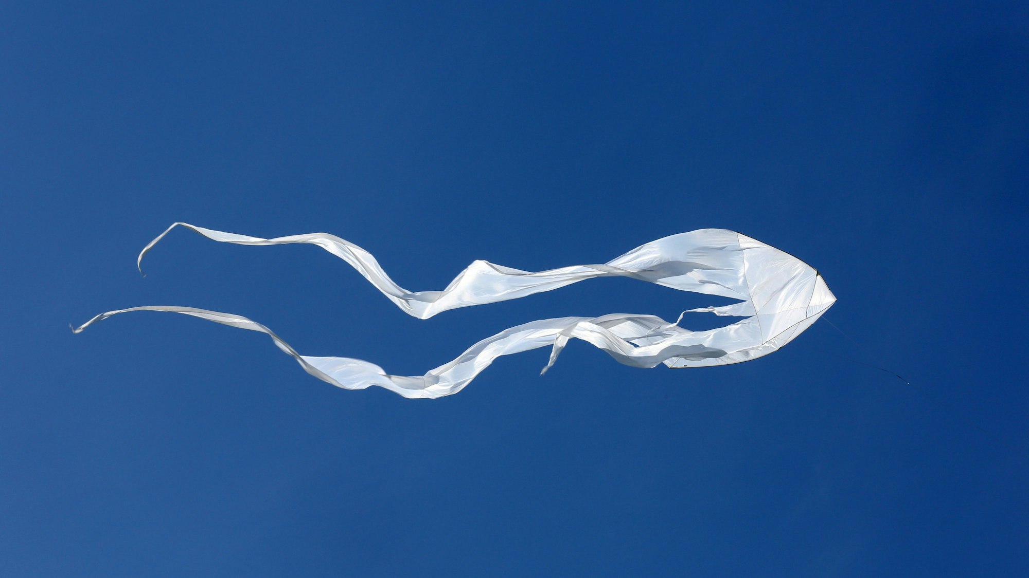 Ein weißer Drachen vor blauem Himmel.