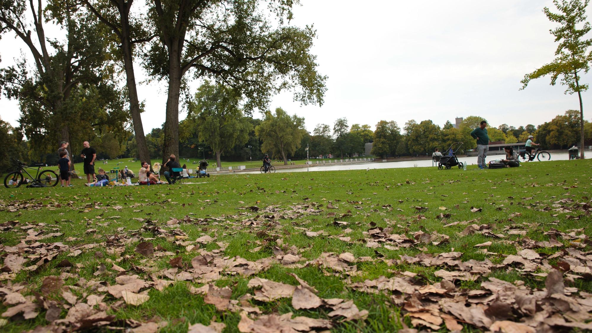 Der Aachener Weiher in Köln mit Herbstlaub auf der Wieso und einigen Besuchern.