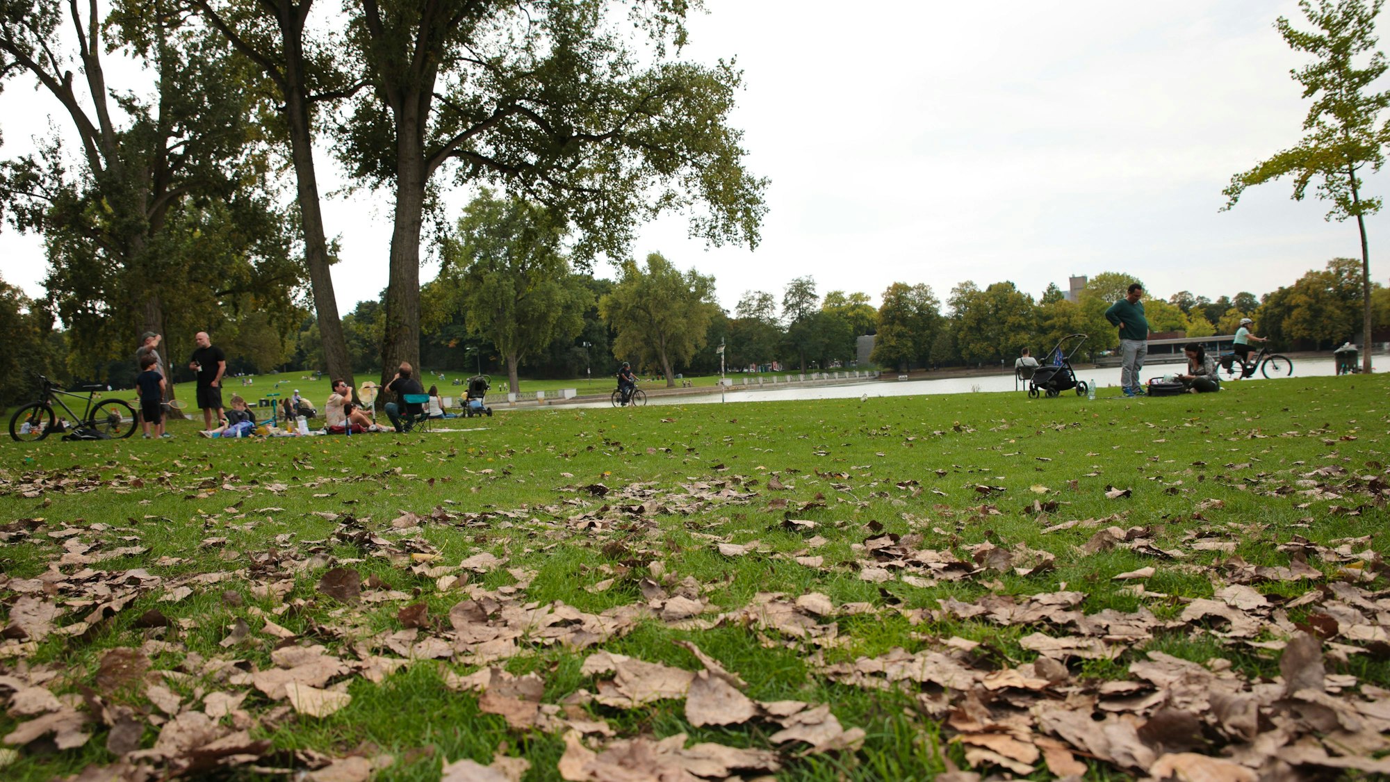 Der Aachener Weiher in Köln mit Herbstlaub auf der Wieso und einigen Besuchern.