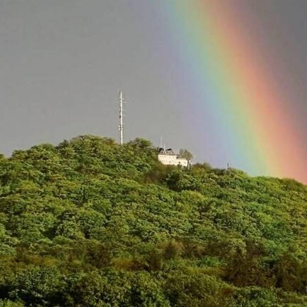 Ein bunter Regenbogen zieht sich über eine dicht bewaldete Bergkuppe.