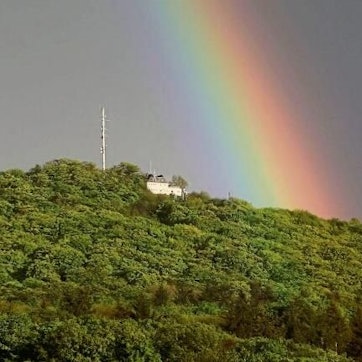 Ein bunter Regenbogen zieht sich über eine dicht bewaldete Bergkuppe.
