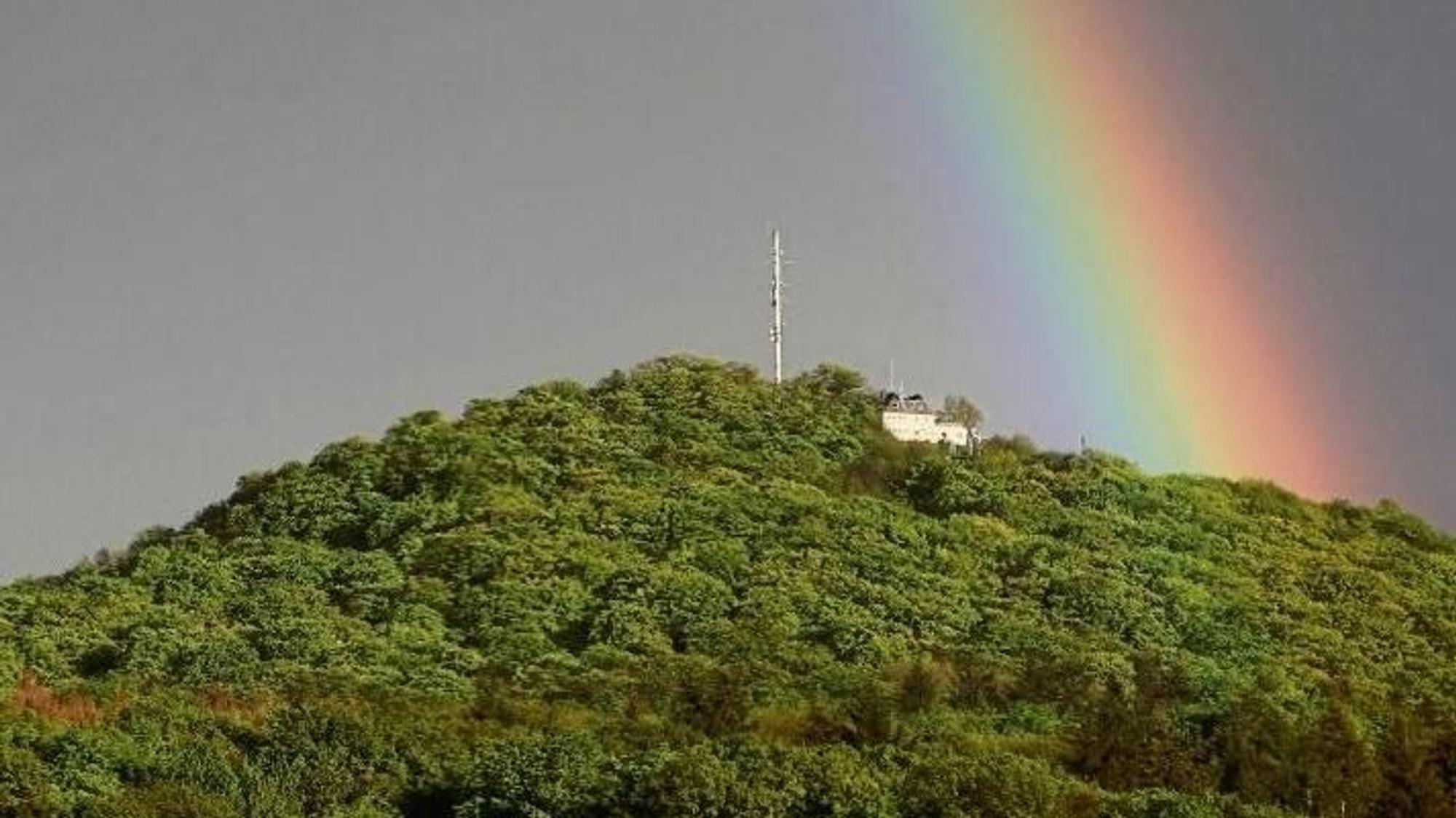 Ein bunter Regenbogen zieht sich über eine dicht bewaldete Bergkuppe.